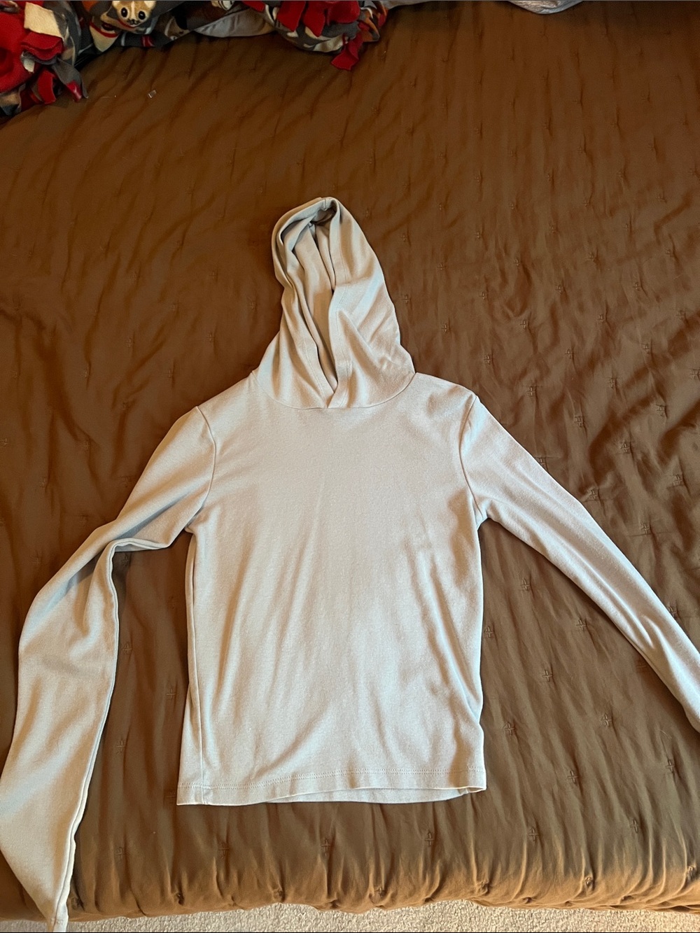 wild fable Light Blue Hooded Lightweight Sweater